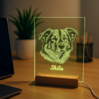 Motiv auf Glas inkl. LED Beleuchtung