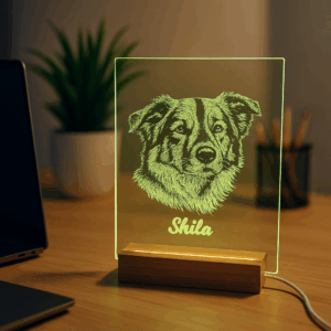 Motiv auf Glas inkl. LED Beleuchtung