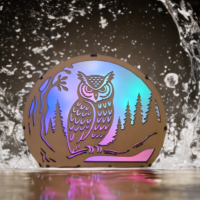 🌈 LED-Leuchtmotiv „Eule“ – buntes LED-Licht