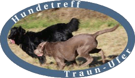 Hundetreff Traunufer